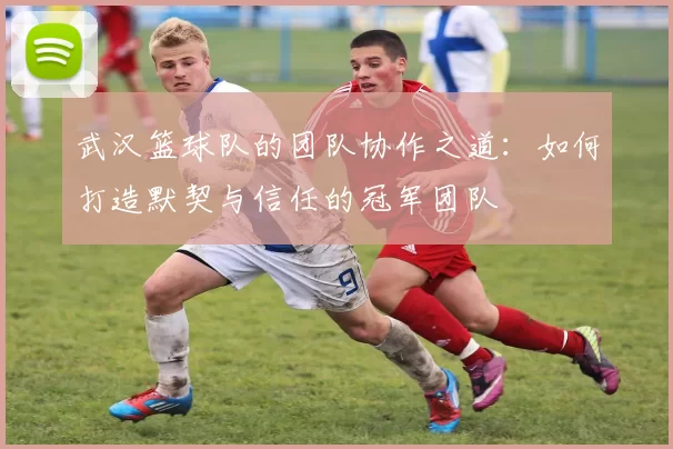武汉篮球队的团队协作之道：如何打造默契与信任的冠军团队