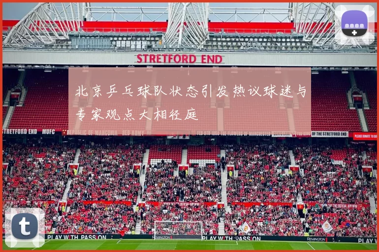 北京乒乓球队状态引发热议球迷与专家观点大相径庭