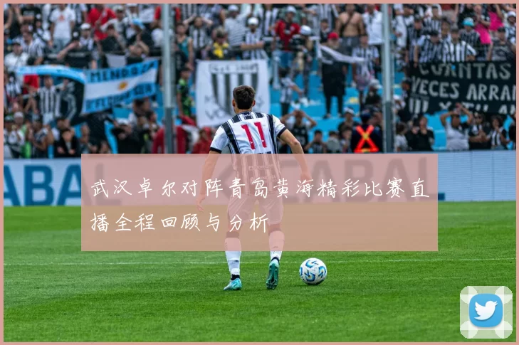 武汉卓尔对阵青岛黄海精彩比赛直播全程回顾与分析