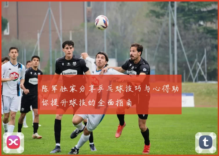 陈军独家分享乒乓球技巧与心得助你提升球技的全面指南