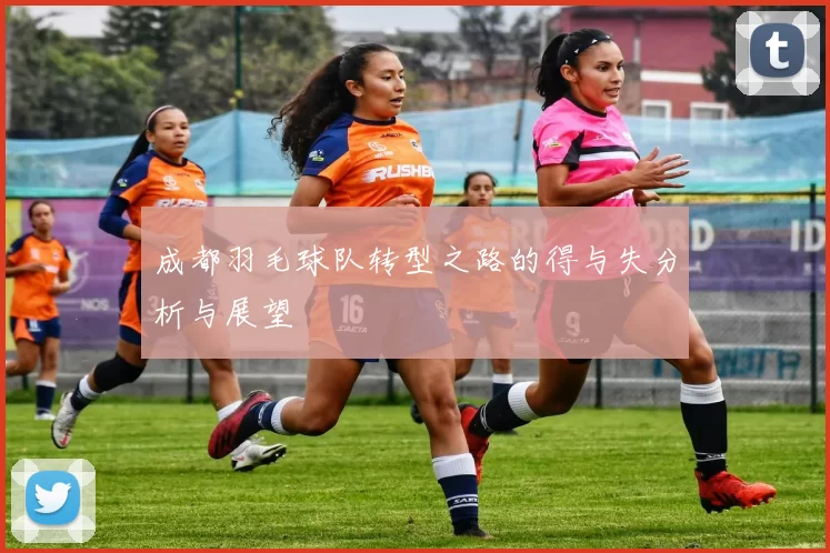 成都羽毛球队转型之路的得与失分析与展望