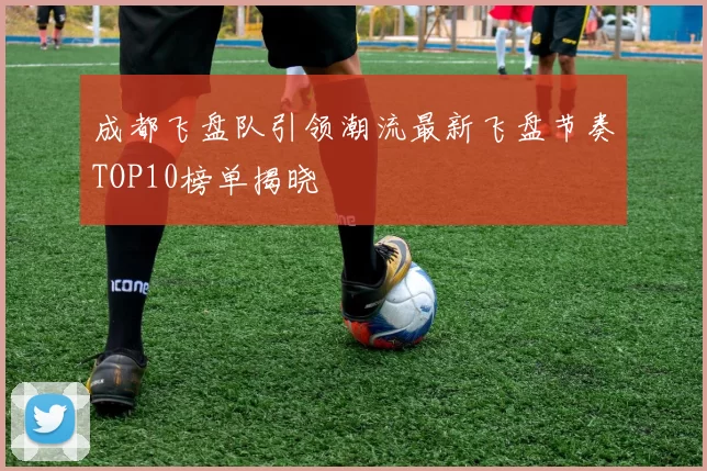 成都飞盘队引领潮流最新飞盘节奏TOP10榜单揭晓