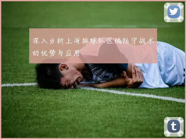 深入分析上海排球队区域防守战术的优势与应用