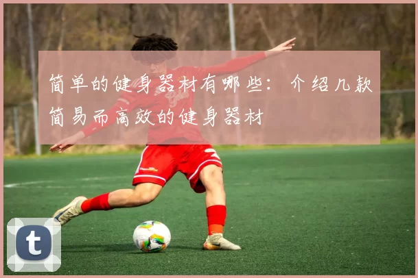 简单的健身器材有哪些：介绍几款简易而高效的健身器材