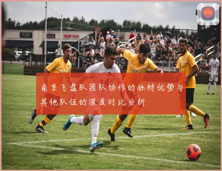 南京飞盘队团队协作的独特优势与其他队伍的深度对比分析