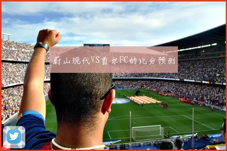 蔚山现代VS首尔FC的比分预测