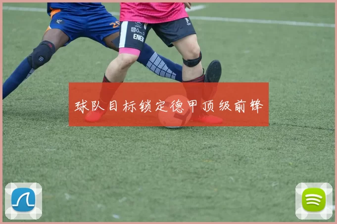 球队目标锁定德甲顶级前锋