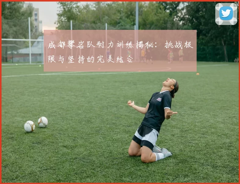 成都攀岩队耐力训练揭秘：挑战极限与坚持的完美结合