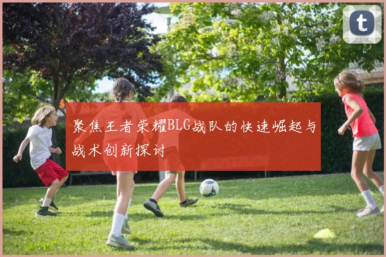 聚焦王者荣耀BLG战队的快速崛起与战术创新探讨