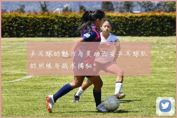 乒乓球的魅力与灵动西安乒乓球队的训练与战术揭秘