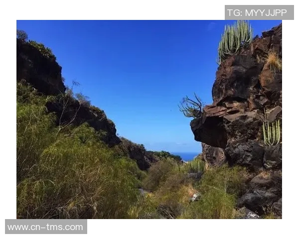 北京极限运动队包夹现象解析及其对运动发展的影响