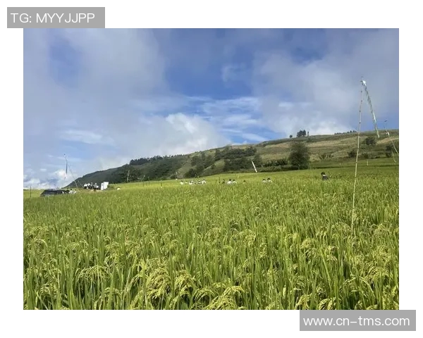 大米种植技术与管理实用指南