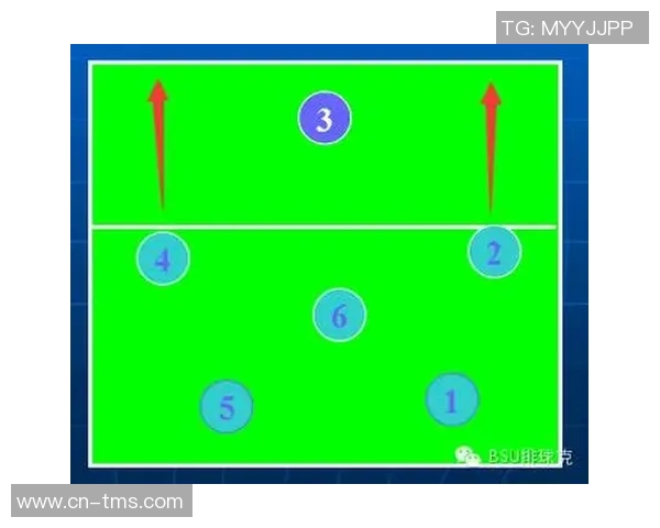 深入分析杭州排球队的进攻策略与战术特点