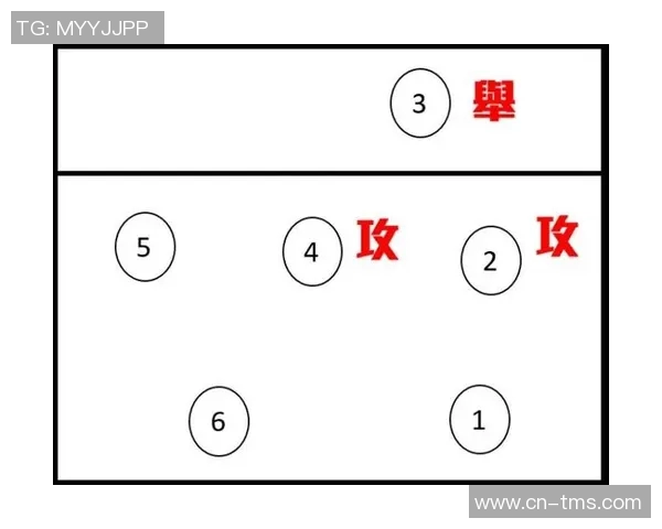 南京排球队整体压制战术解析与实战应用探讨