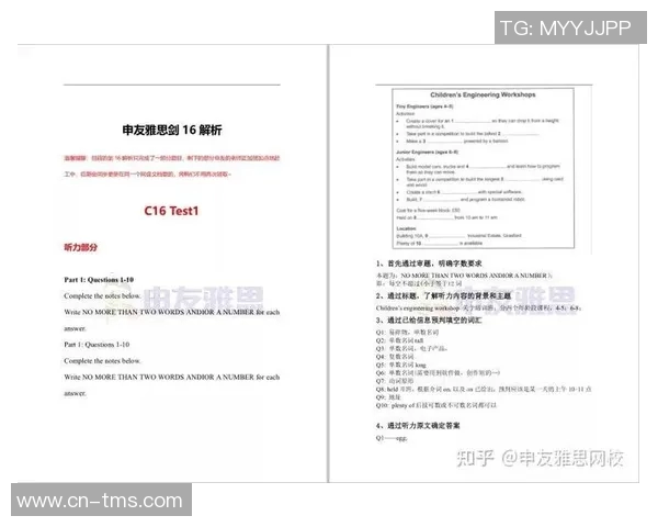 独家解析WE耐力对比背后的秘密与启示