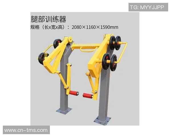 弯举健身器材种类及力量训练效果讲解